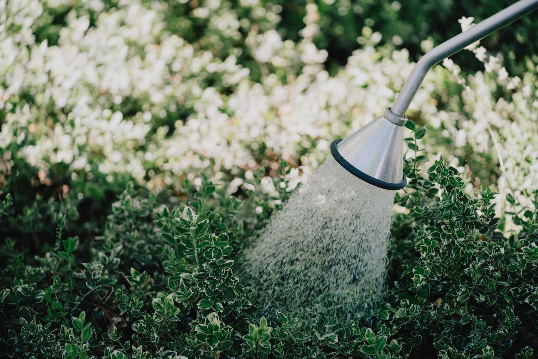 KECKEX Flächenreinigung: Wasser statt Chemie.