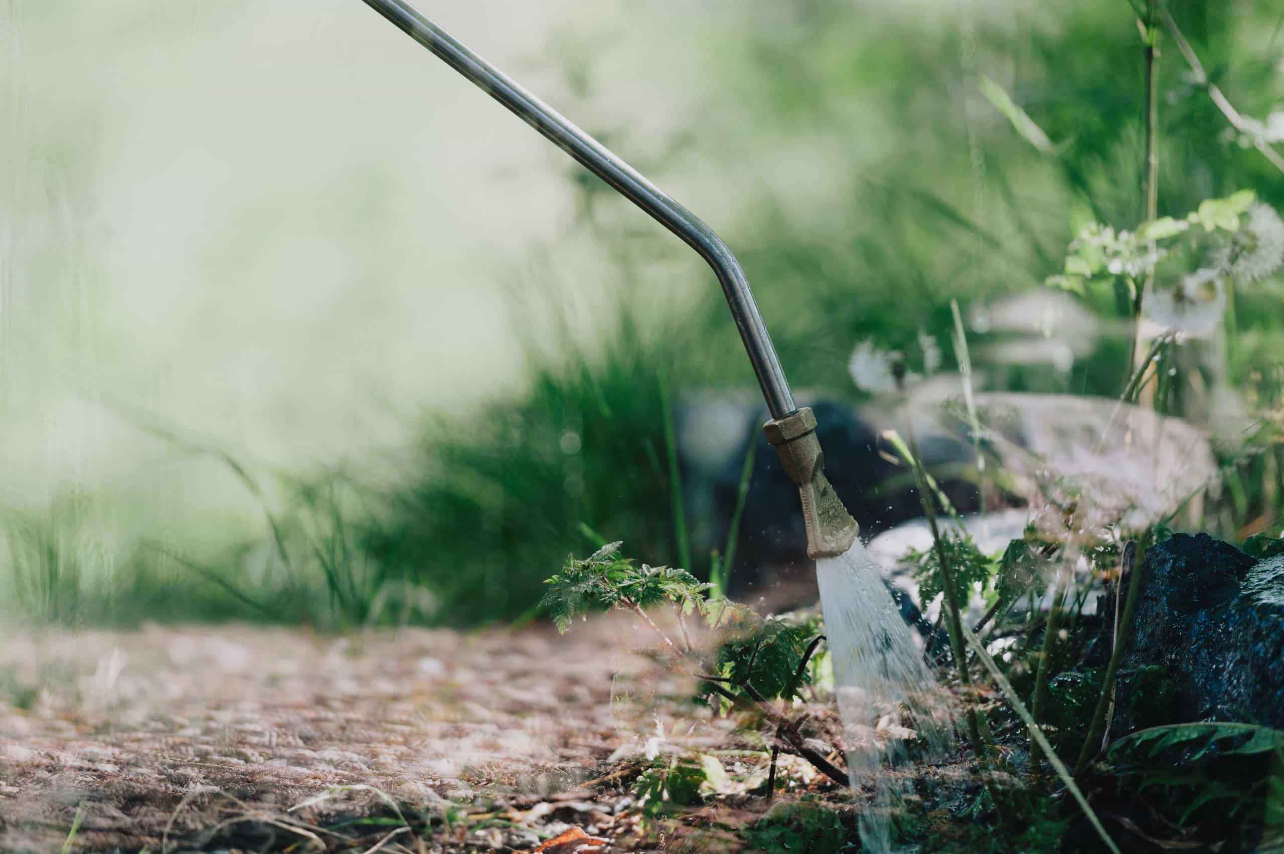 KECKEX Flächenreinigung ohne Chemie mit Wasser.